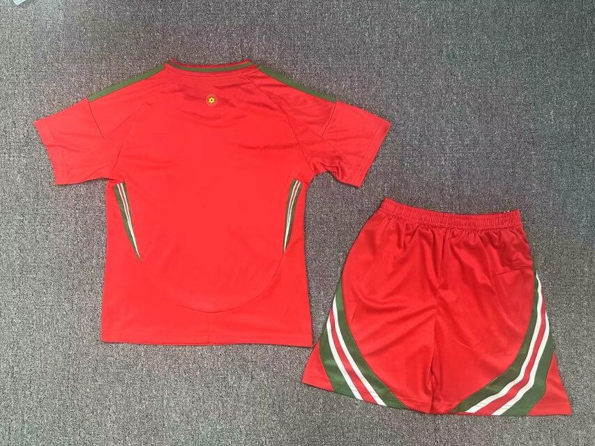 2024 Wales European Cup Home Kids Soccer Jersey
