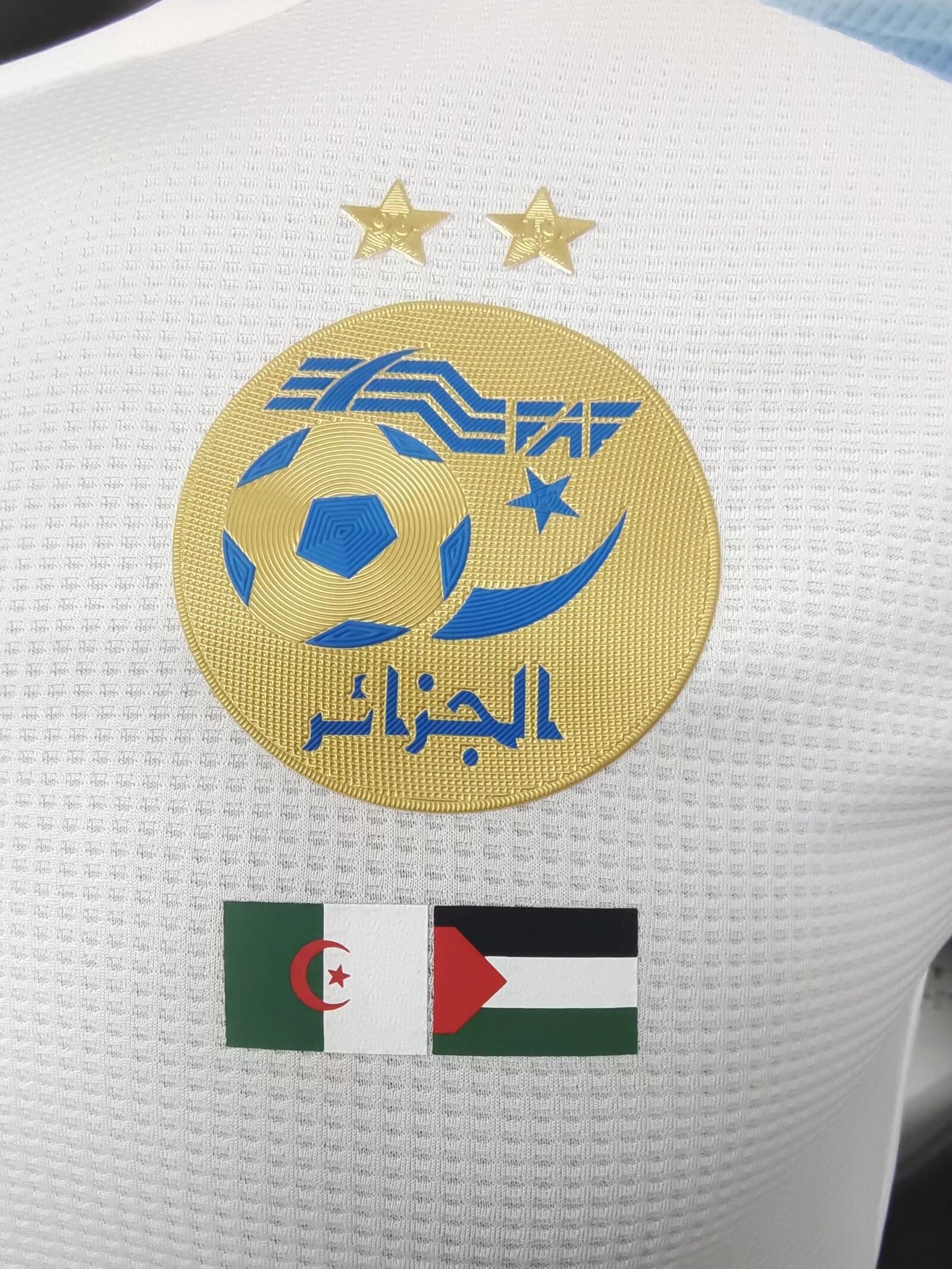 23-24 Algeria Purple Blue Special Edition Player Version Soccer Jersey