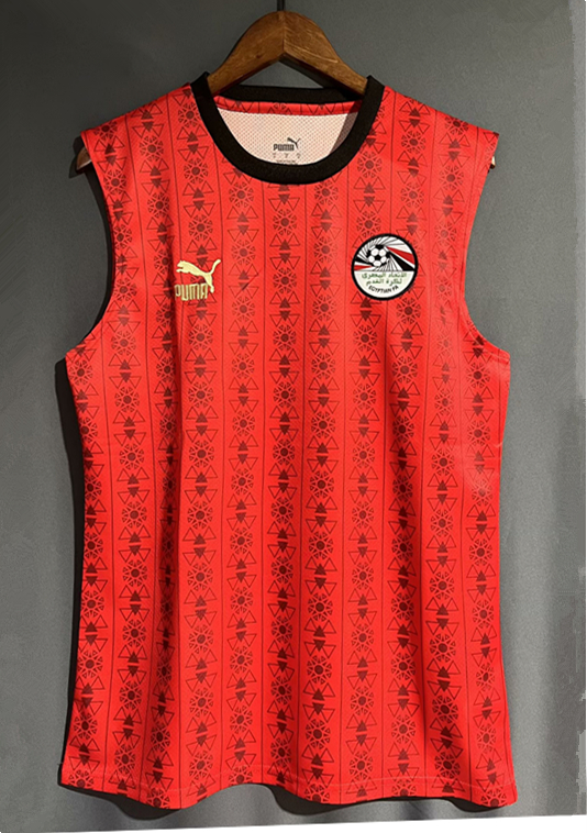 23-24 Egypt Home Fans Soccer Jersey