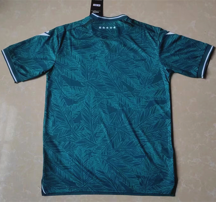 24-25 Santiago Wanderers Home Fans Soccer Jersey
