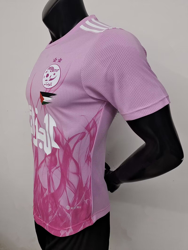 24-25 Algeria Special Edition Player Version Soccer Jersey