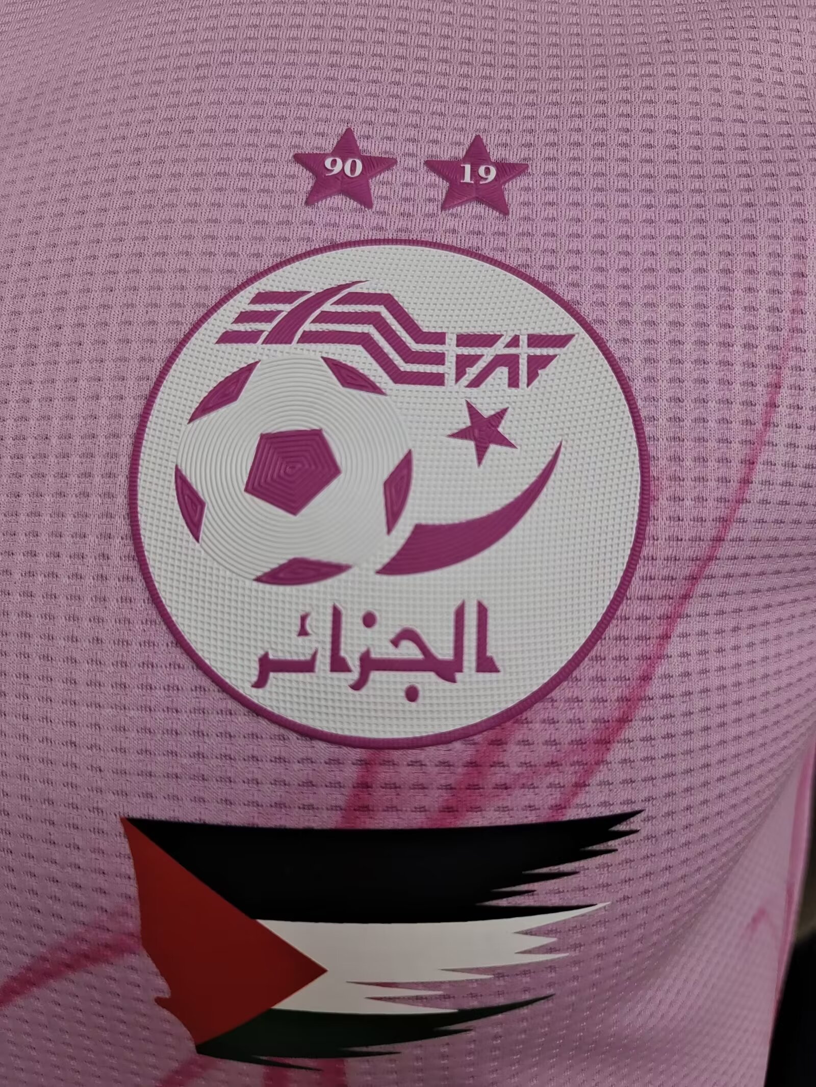 24-25 Algeria Special Edition Player Version Soccer Jersey