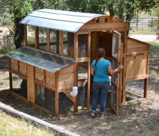 Chicken Coop