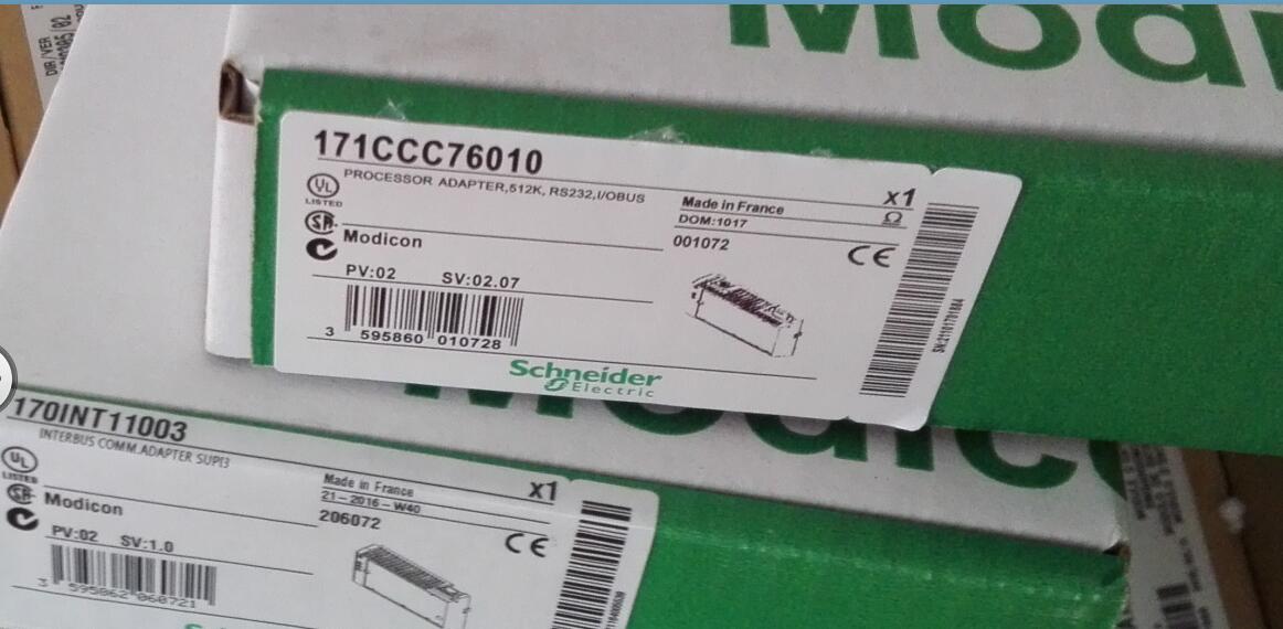 171CCC76010 Schneider Modicon Momentum Brandy Original Factory Sealed New