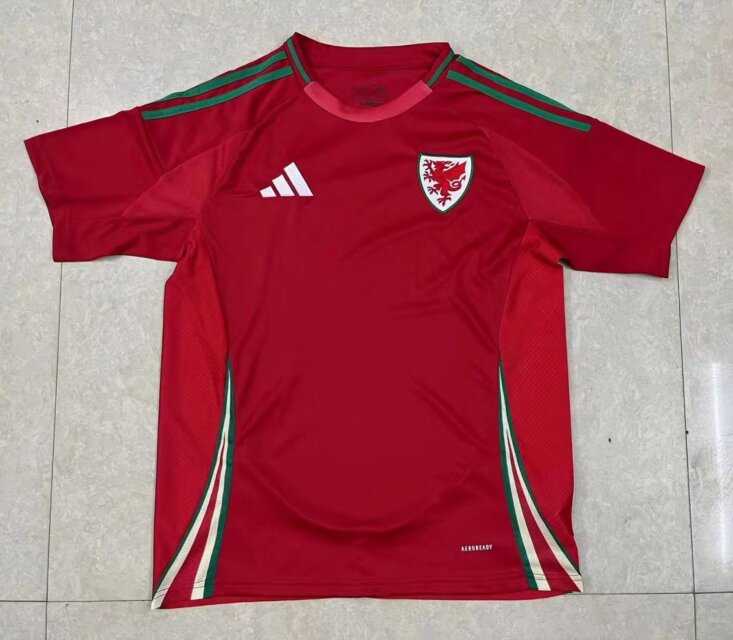 24/25 Welsh Home Soccer Jersey Fans Version 1:1 Quality - leoleo123123