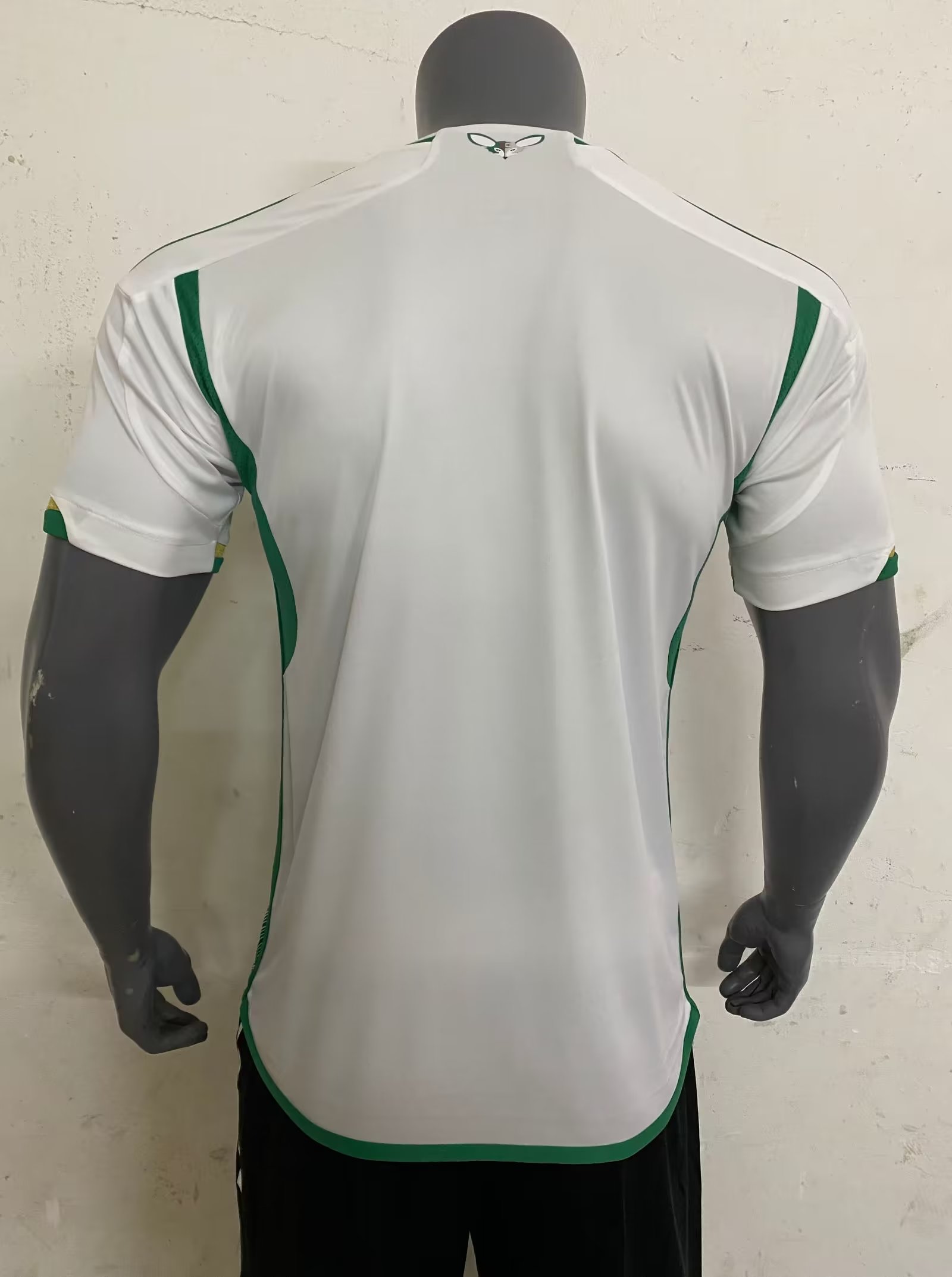 22/23 Algeria Home Jersey Fans Version Thai Quality - leoleo123123
