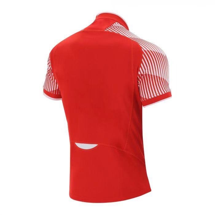 Rugby 2020-2021 Wales National Sevens Home Rugby Jersey High Quality - leoleo123123