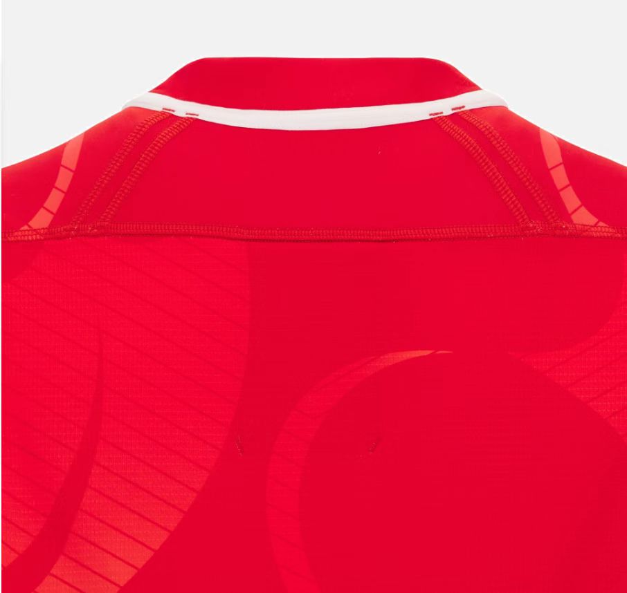 Rugby 2022-2023 Welsh Red Rugby Jersey High Quality - leoleo123123