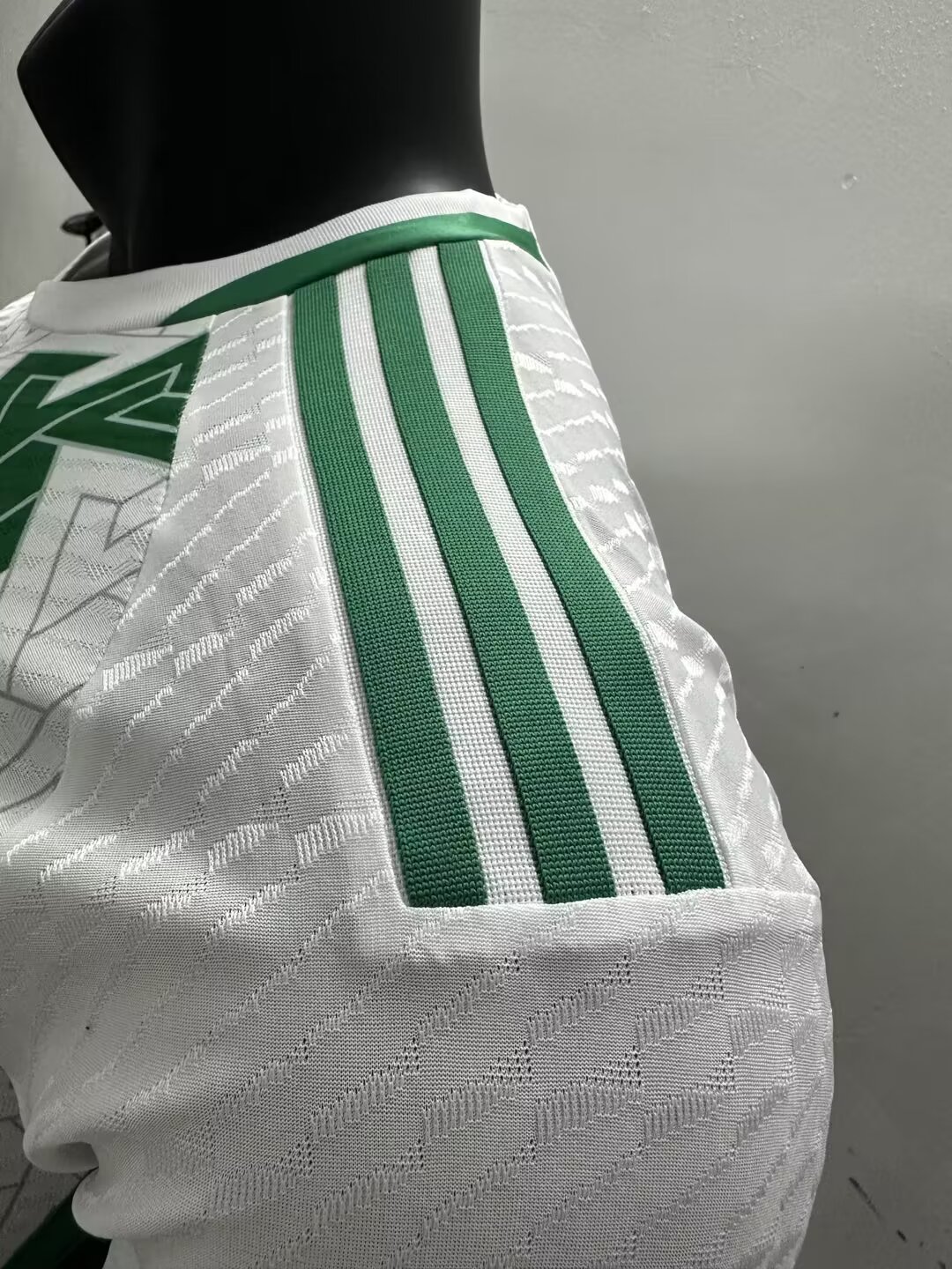 24/25 Algeria Home Jersey Player Version Thai Quality - leoleo123123