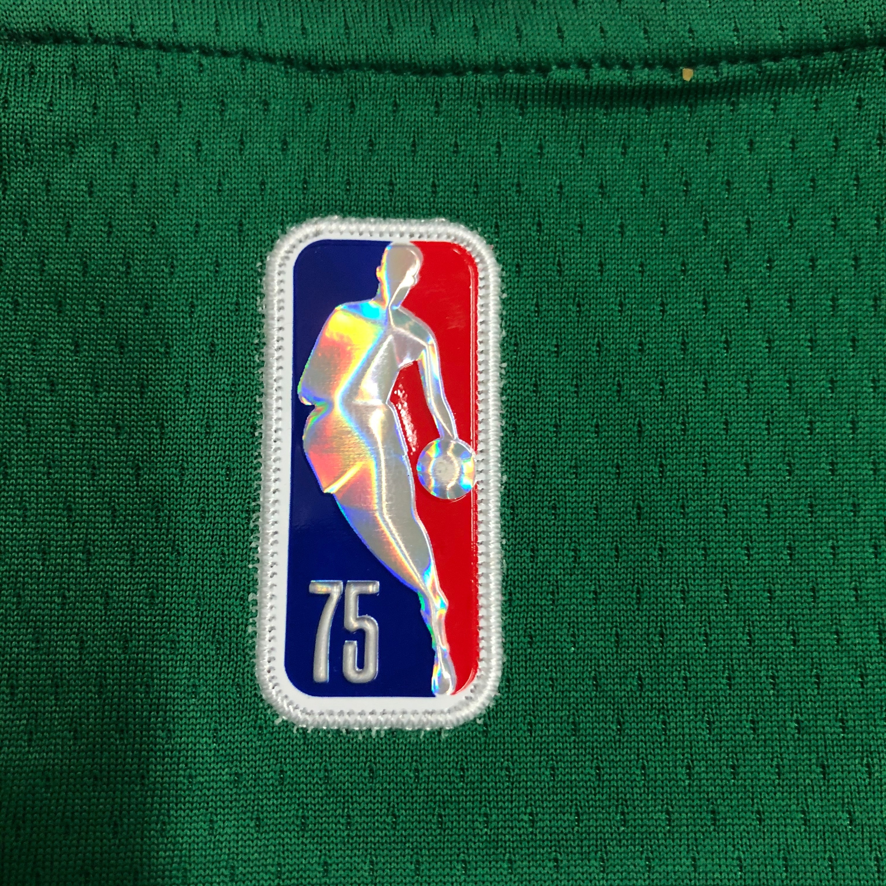 NBA 75th Anniversary Boston Celtics Green #8 WALKER Jersey High Quality Name and Number Print - leoleo123123