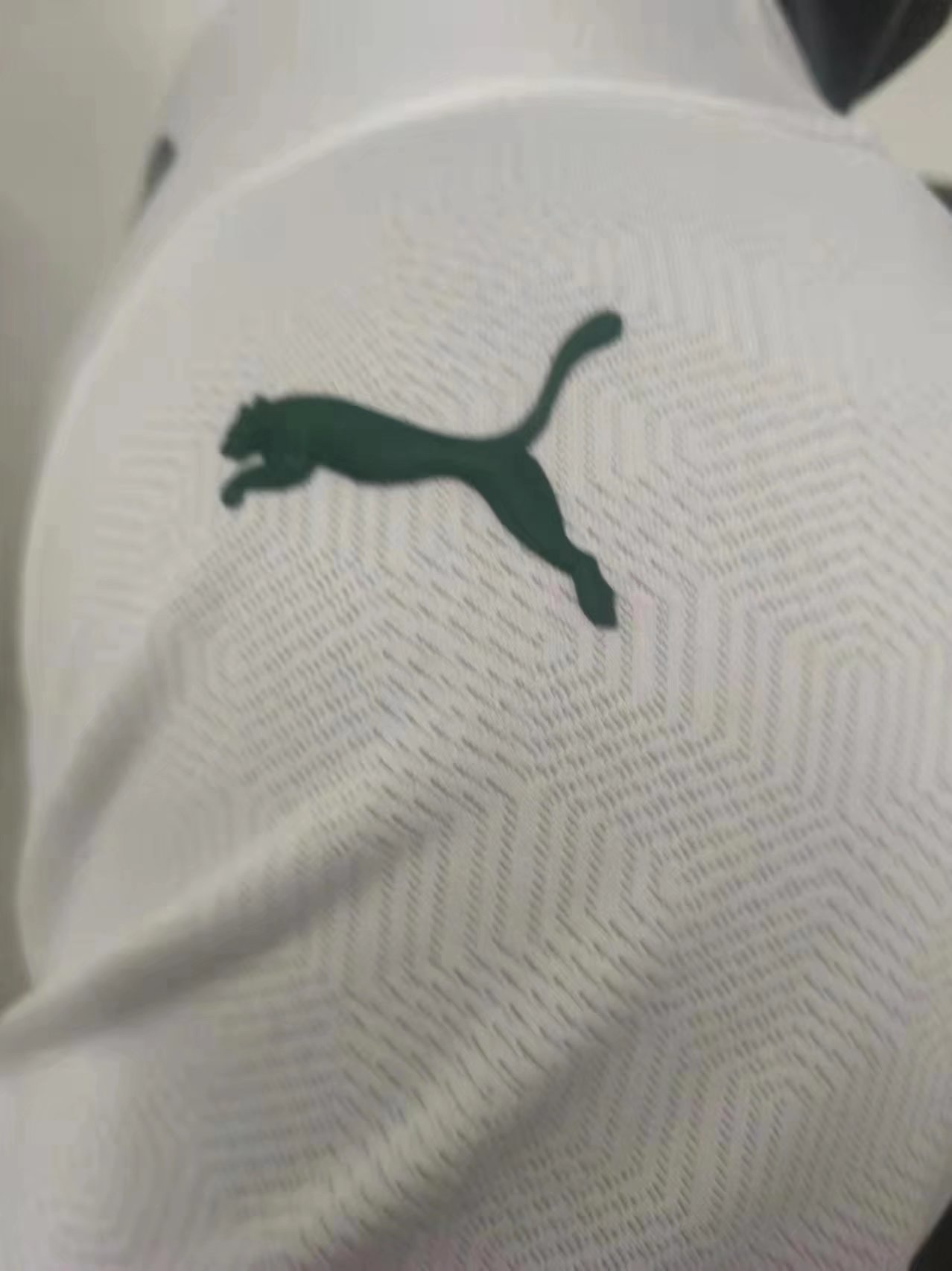 2023 Palmeiras Away Jersey Player Version 1:1 Quality Thai Quality - leoleo123123