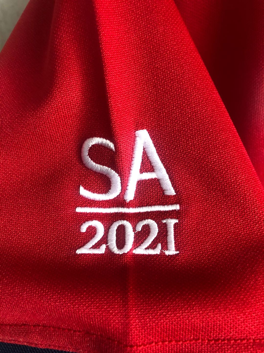 Rugby 2020-2021 Lions Red Rugby Traning Polo High Quality - leoleo123123