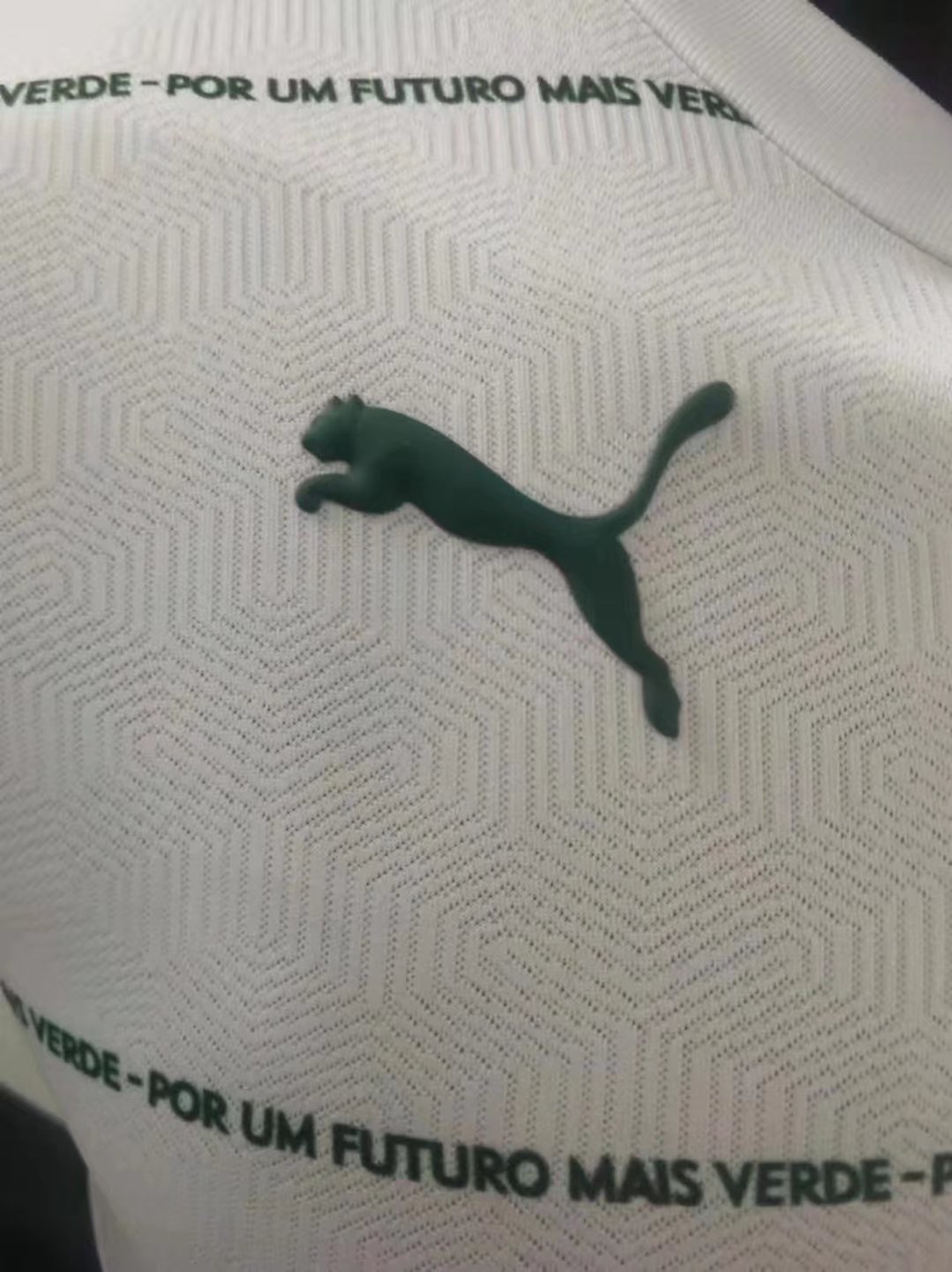 2023 Palmeiras Away Jersey Player Version 1:1 Quality Thai Quality - leoleo123123