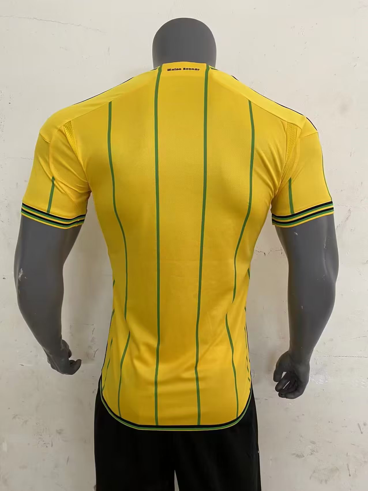 23/24 Jamaica Home Jersey Fans Version 1:1 Quality - leoleo123123
