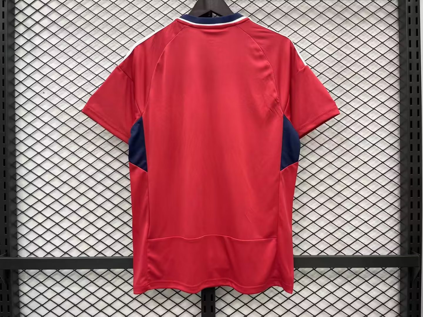 23/24 Costa RicaHome Jersey Fans Version Thai Quality - leoleo123123