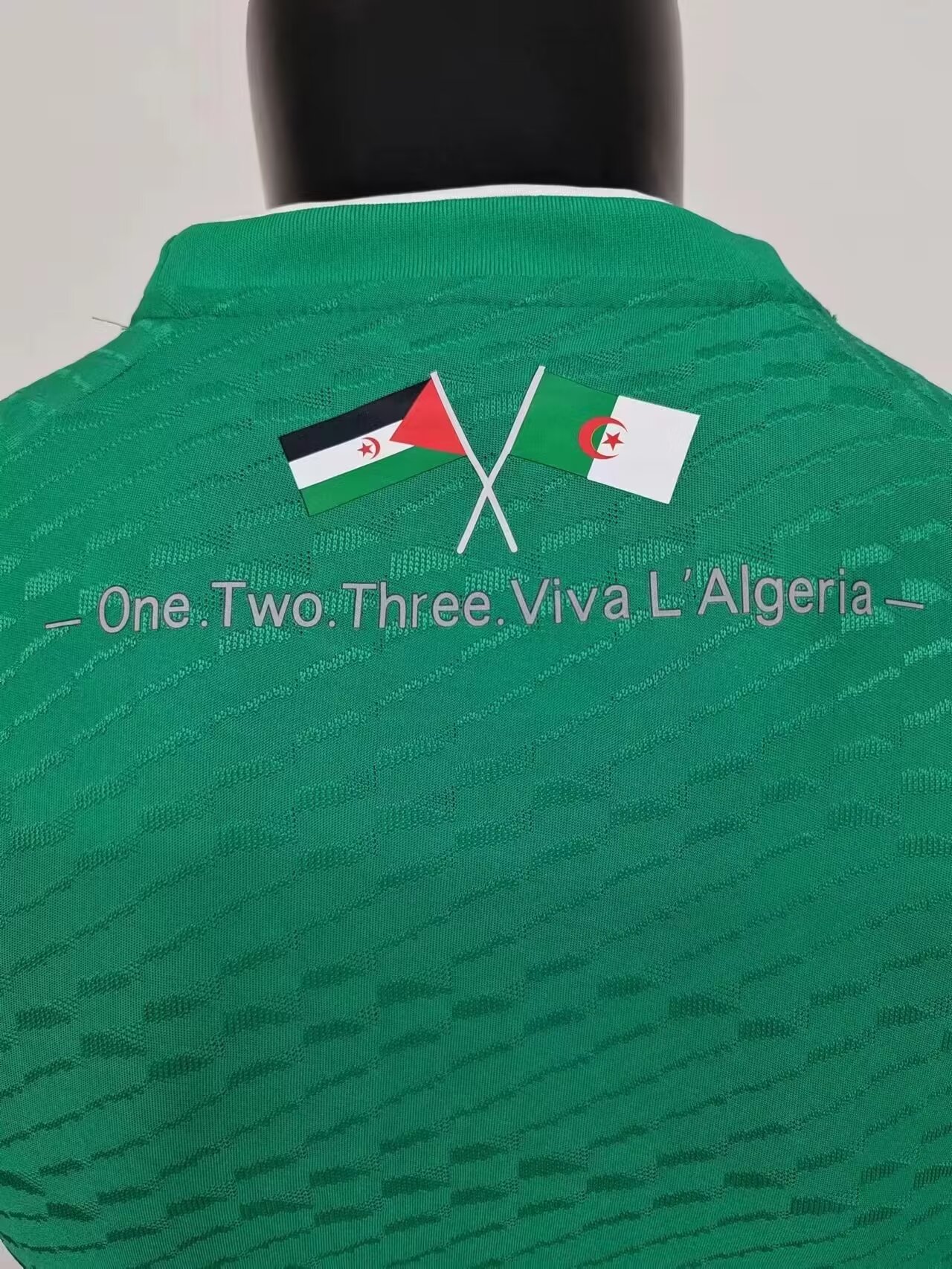 Algeria Green Jersey Player Version Thai Quality - leoleo123123
