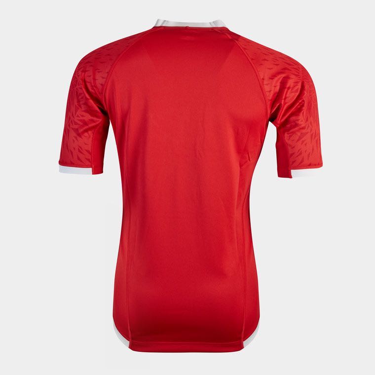 Rugby 2020-2021 Lions Home Rugby Jersey High Quality - leoleo123123
