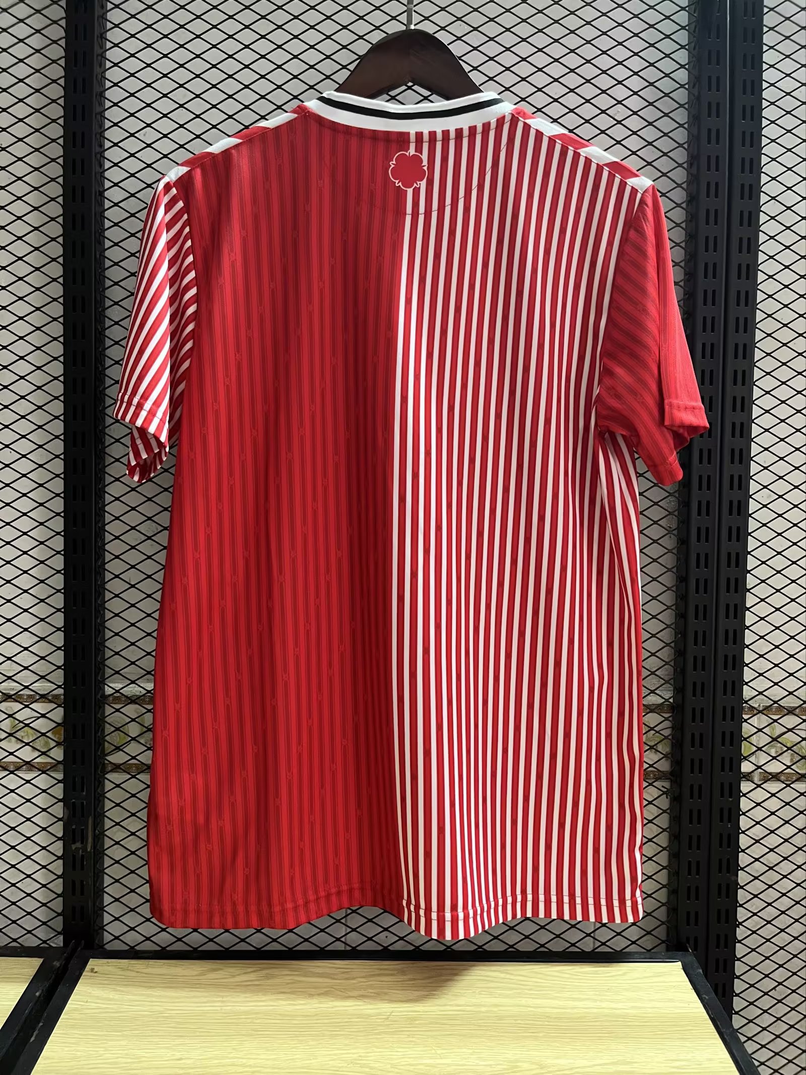 23/24 Southampton Home Jersey Fans Version Thai Quality hongqi - leoleo123123