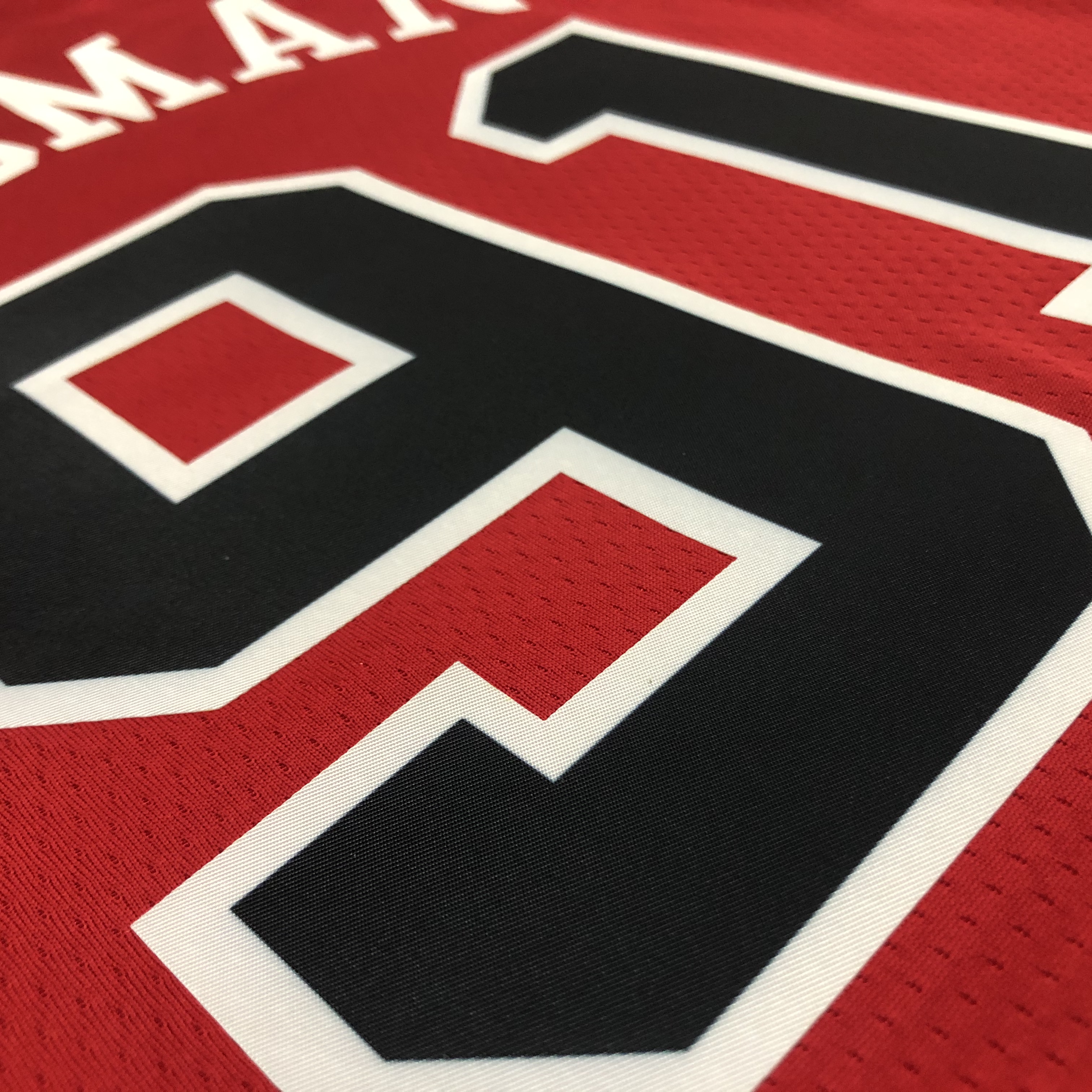 NBA Men 75th Anniversary Chicago Bulls Red #91 RODMAN Jersey High Quality Name and Number Print - leoleo123123