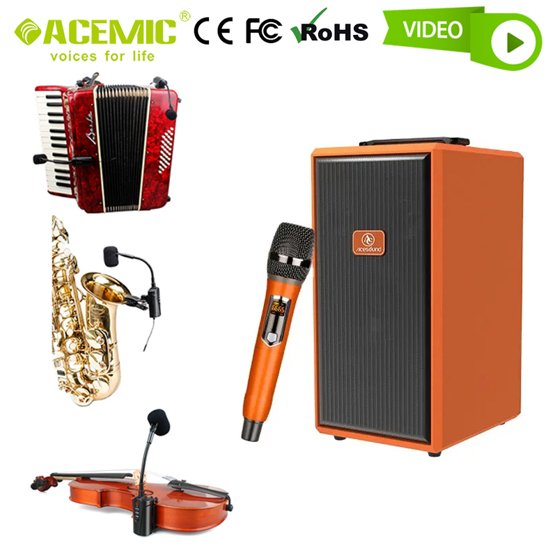 Portable Active PA System with Dual Instrument Saxophone Violin Accordion Microphone Wireless Bluetooth Outdoor Speaker ACEMIC - leoleo123123