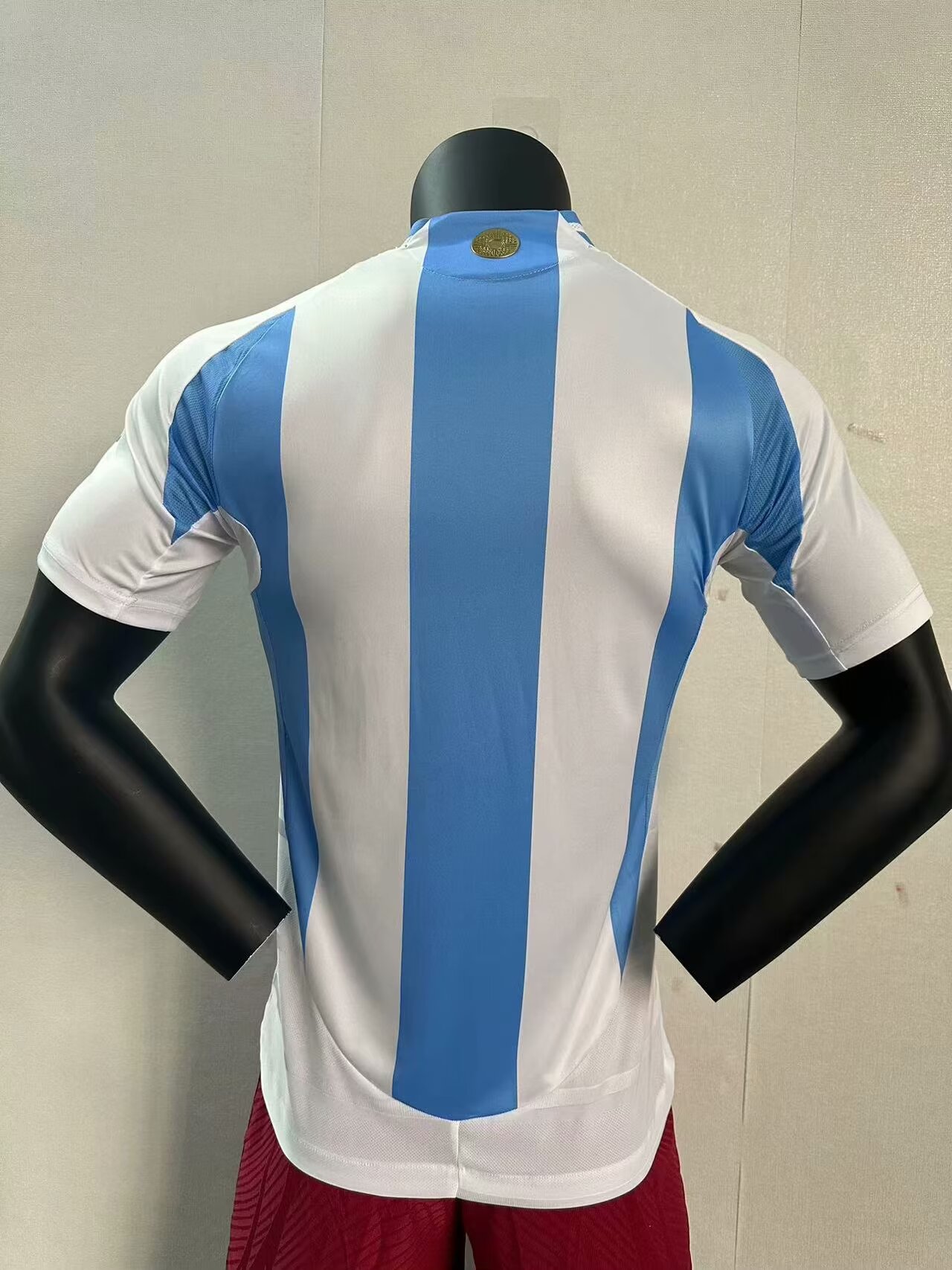 24/25 Argentina Home Jersey Player Version 1:1 Quaility - leoleo123123