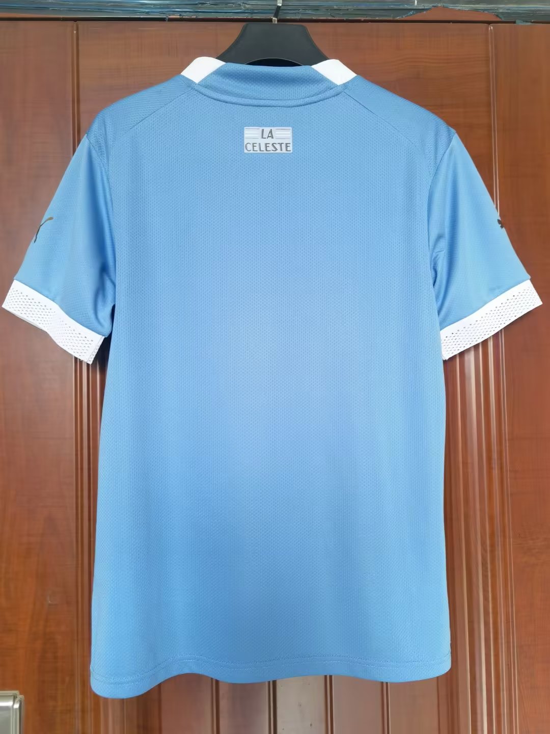 22-23 Uruguay Home Jersey Fans Version 1:1 Quality - leoleo123123