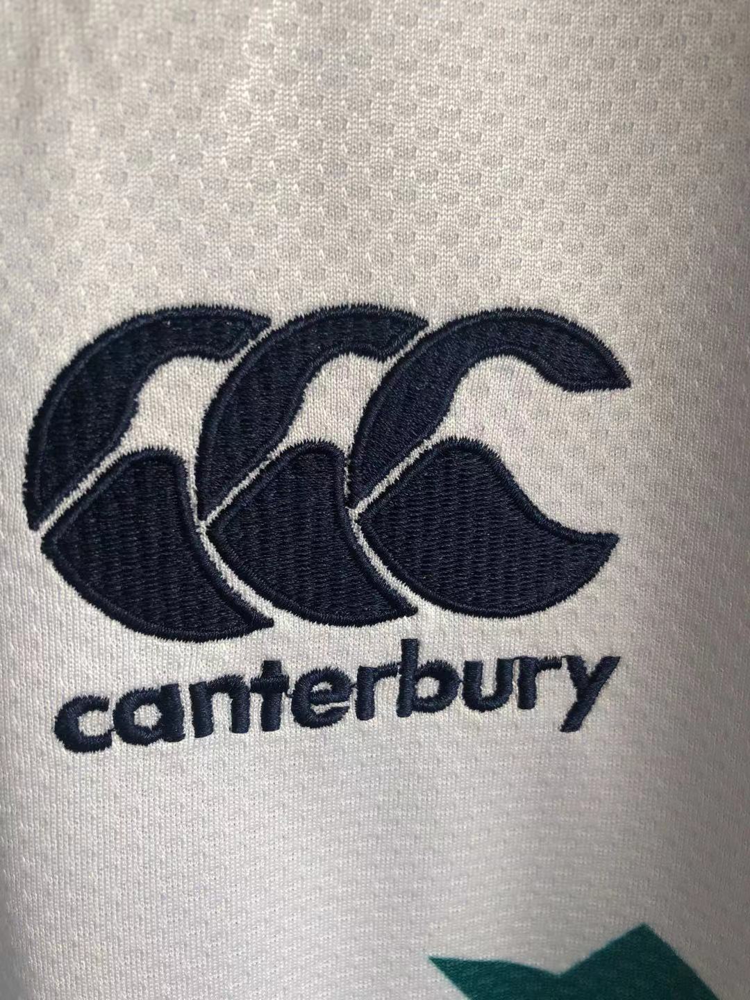 Rugby 2020-2021 Lions White Rugby Jersey High Quality - leoleo123123