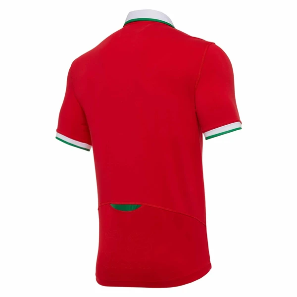 Rugby Season 2021 Wales National Red Rugby Polo High Quality - leoleo123123