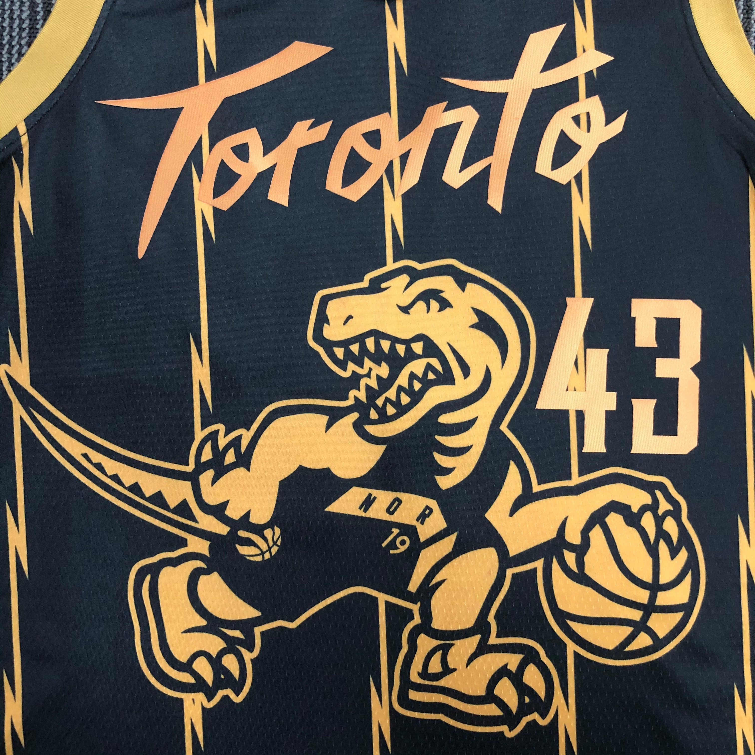 NBA Men 75th Anniversary Toronto Raptors Black #43 SIAKAM Jersey High Quality Name and Number Print - leoleo123123