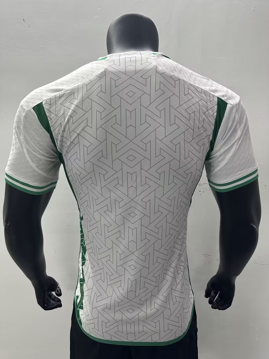 24/25 Algeria Home Jersey Player Version Thai Quality - leoleo123123