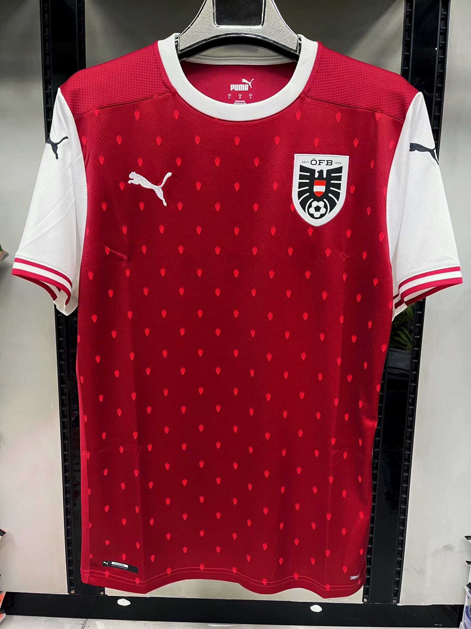 2020 Austria Home Soccer Jersey Fans Version 1:1 Quality - leoleo123123