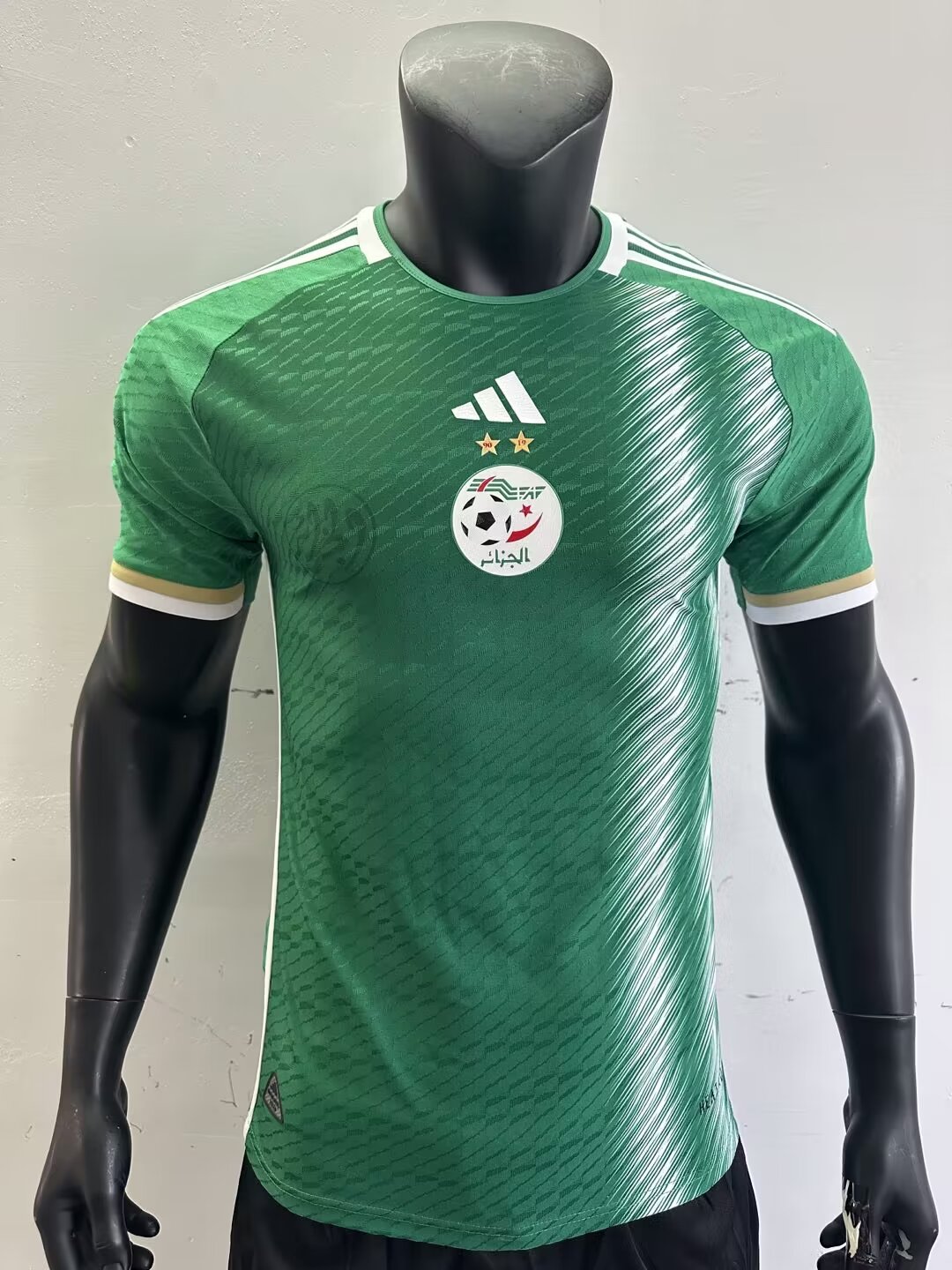 24/25 Algeria Away Jersey Player Version Thai Quality - leoleo123123