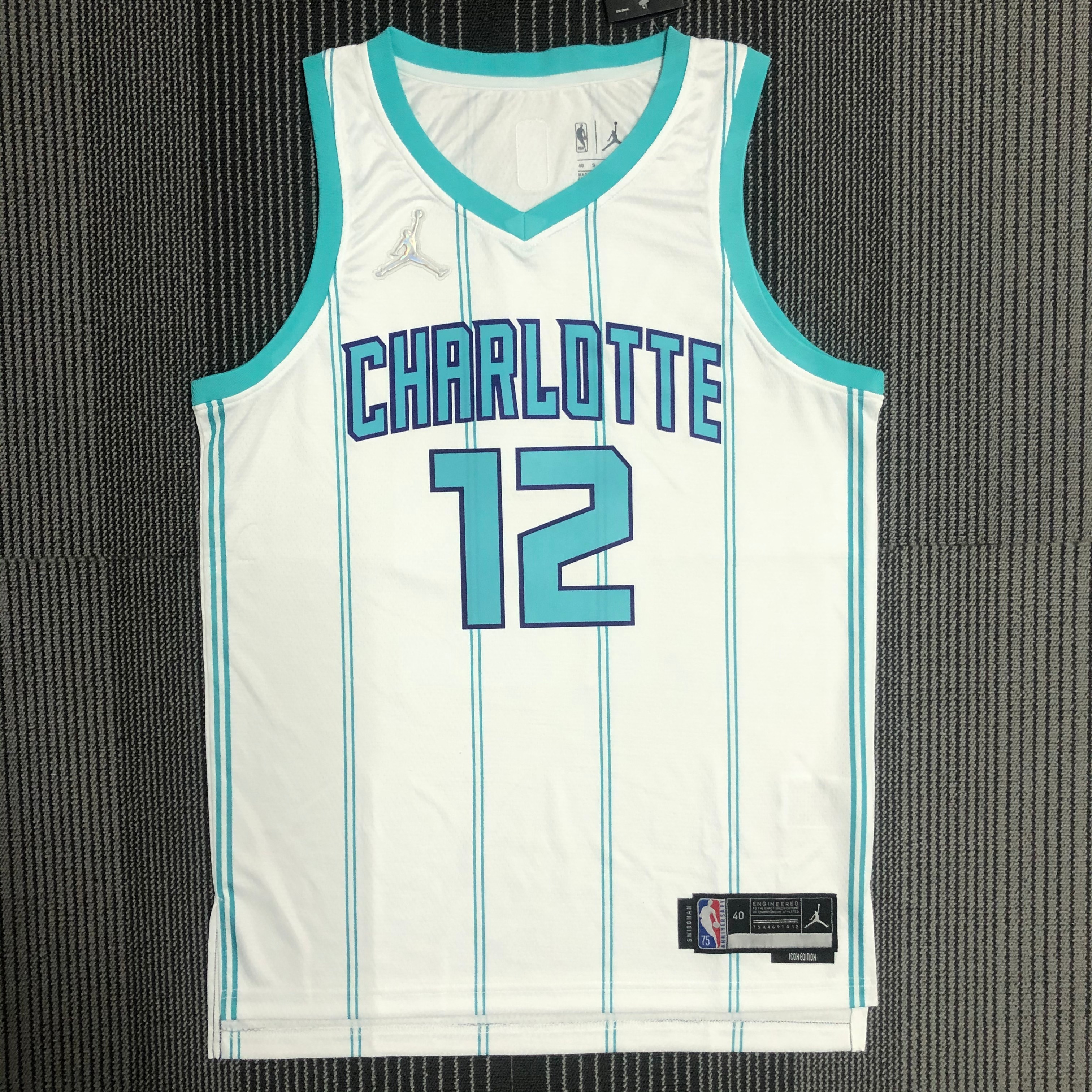 NBA Men 75th Anniversary New Season Charlotte Hornets #12 DUBRE JR. White Jersey High Quality Name and Number Print - leoleo123123