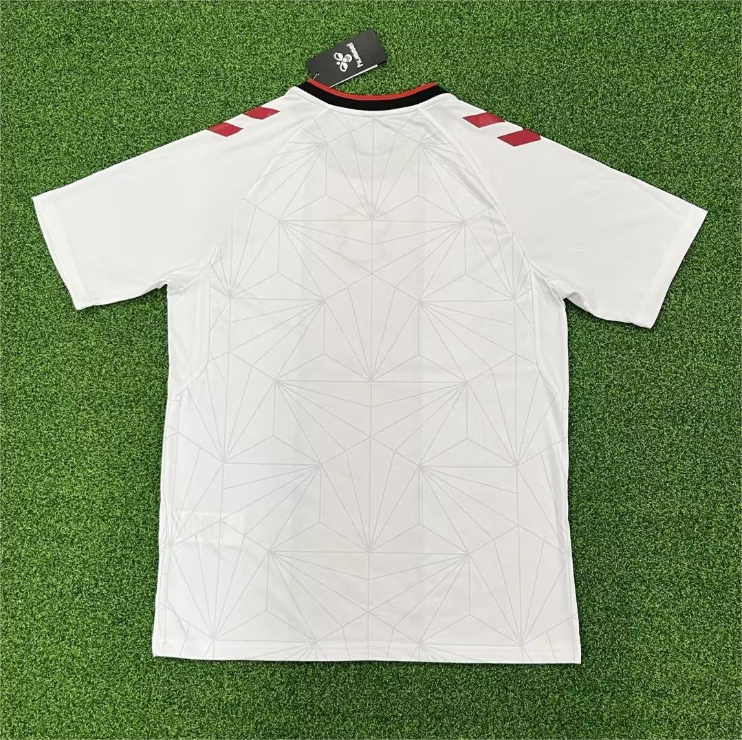 22/23 Southampton Home Jersey Fans Version Thai Quality 403 - leoleo123123