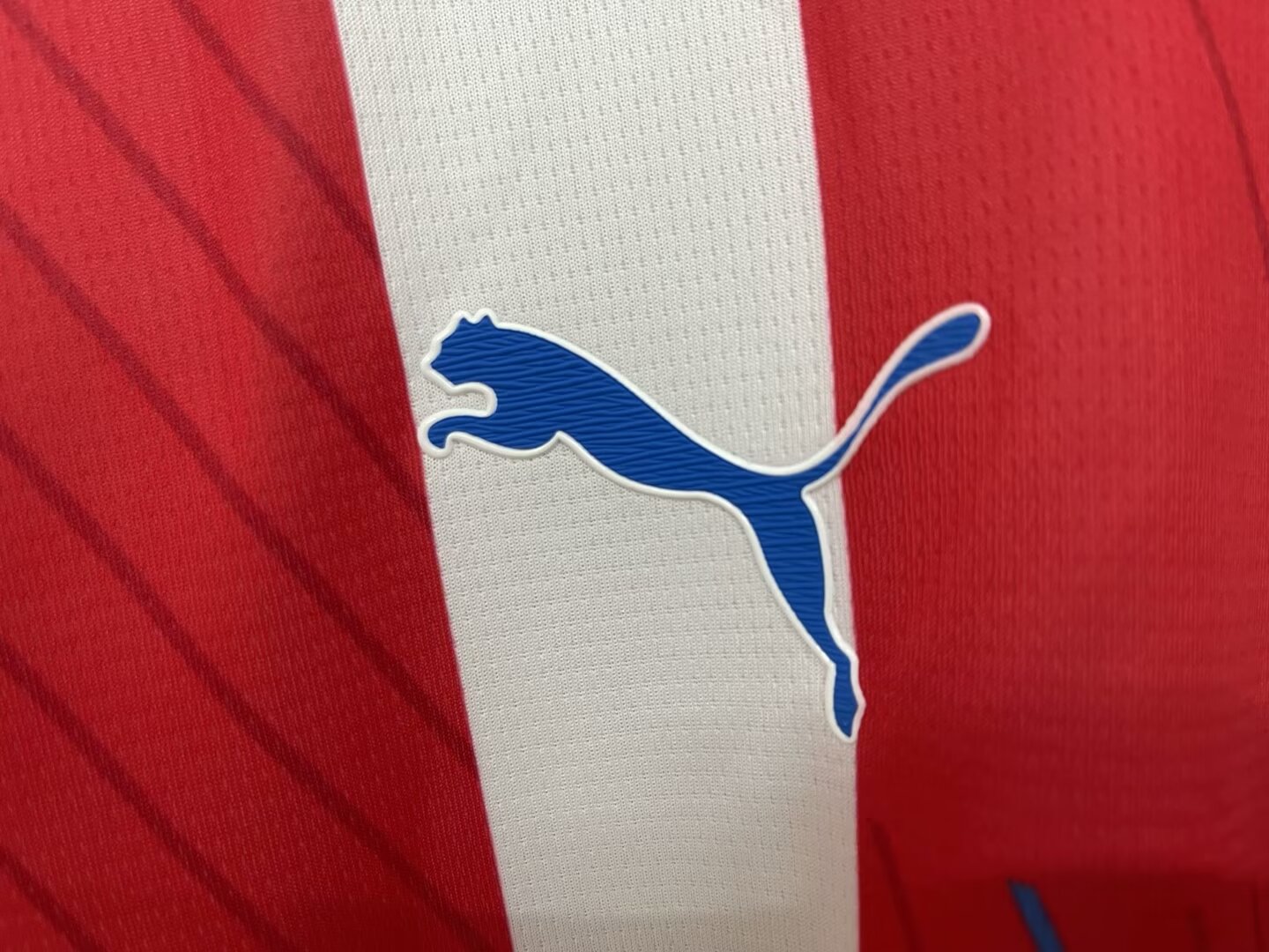 24/25 Paraguay Home Jersey Fans Version 1:1 Quality - leoleo123123