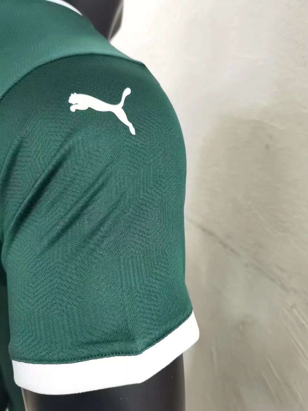 2023 Palmeiras Home Jersey Player Version 1:1 Quality Thai Quality - leoleo123123