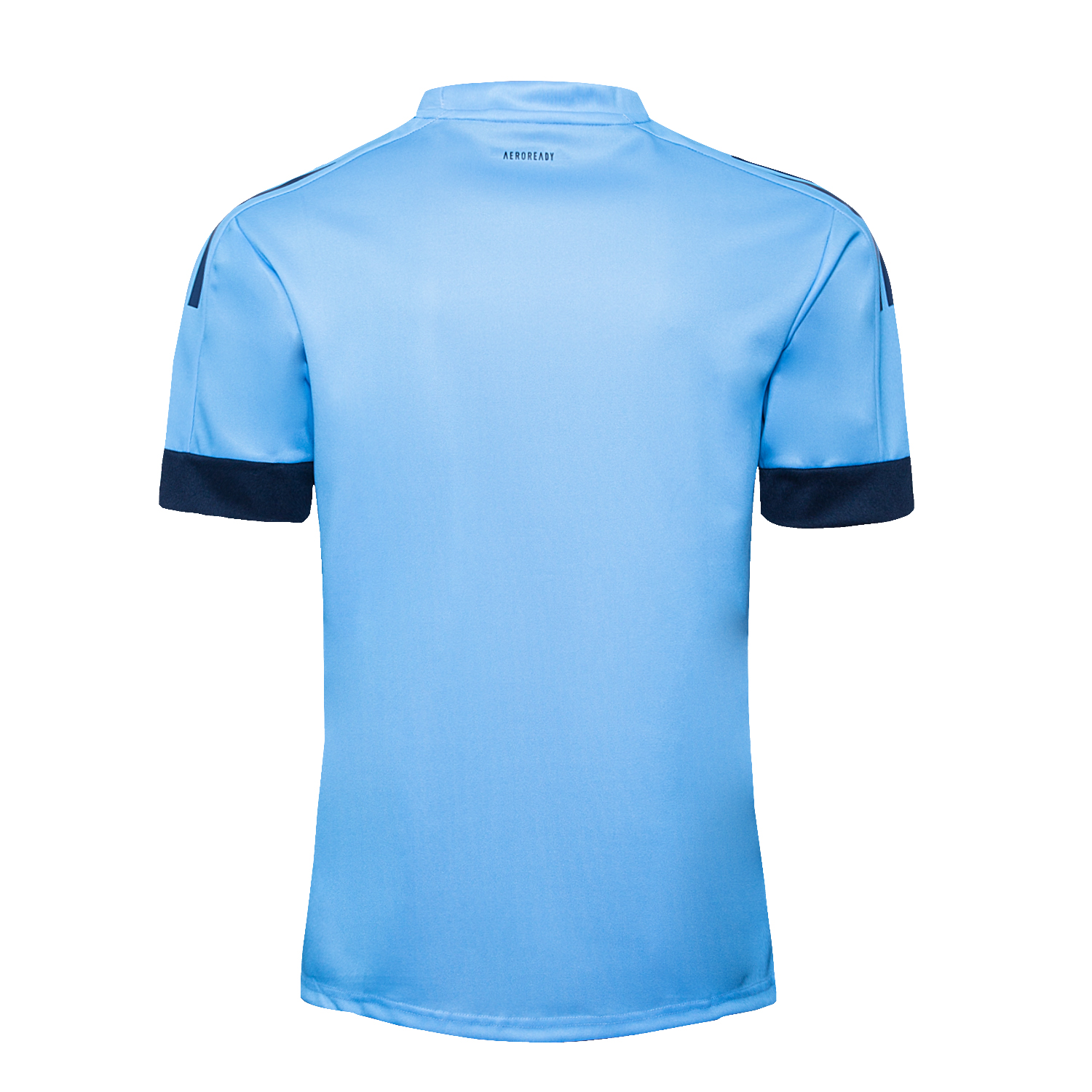 Rugby 2020-2021 Blues Blue Rugby Training Jersey High Quality - leoleo123123