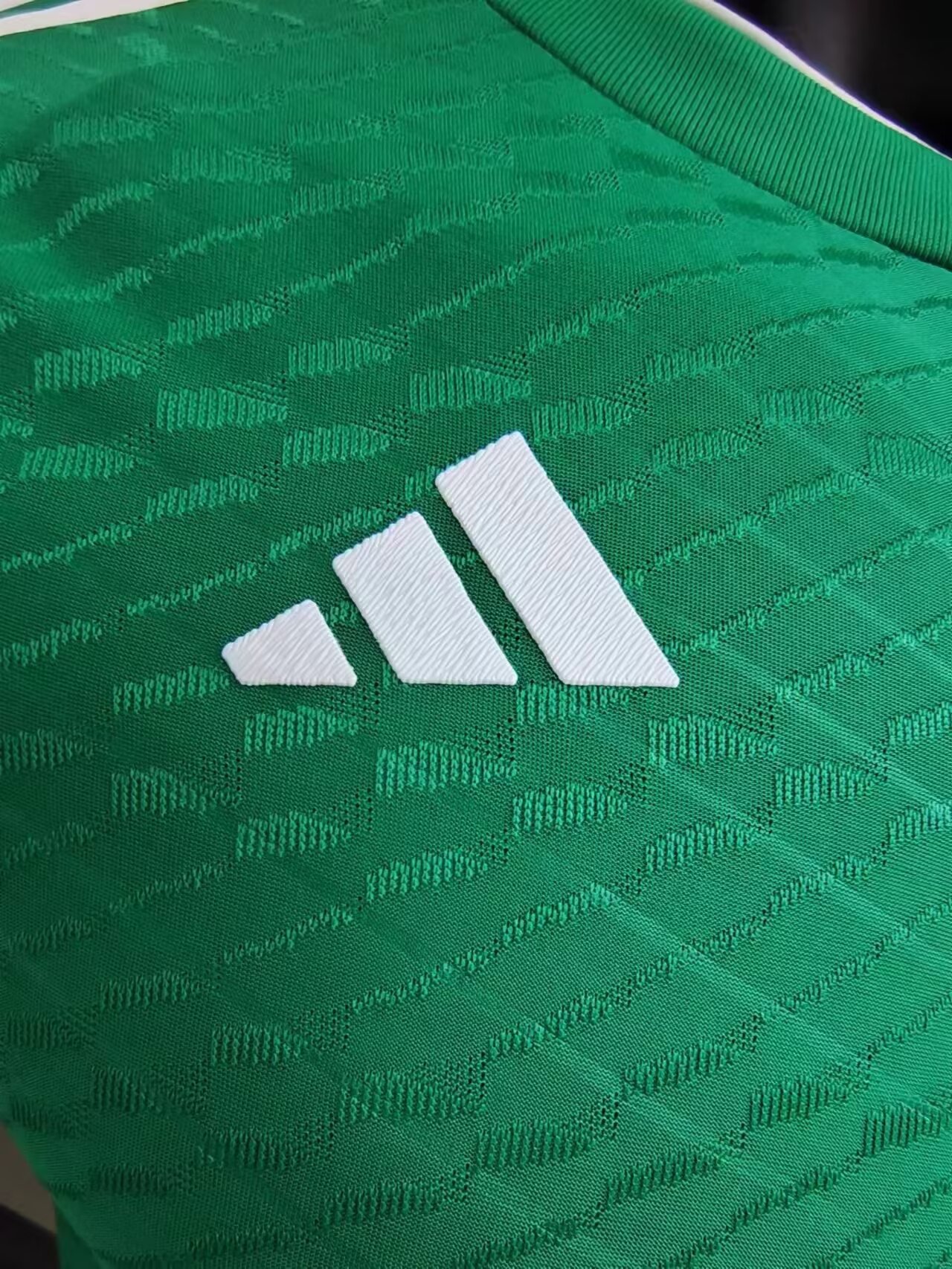 Algeria Green Jersey Player Version Thai Quality - leoleo123123