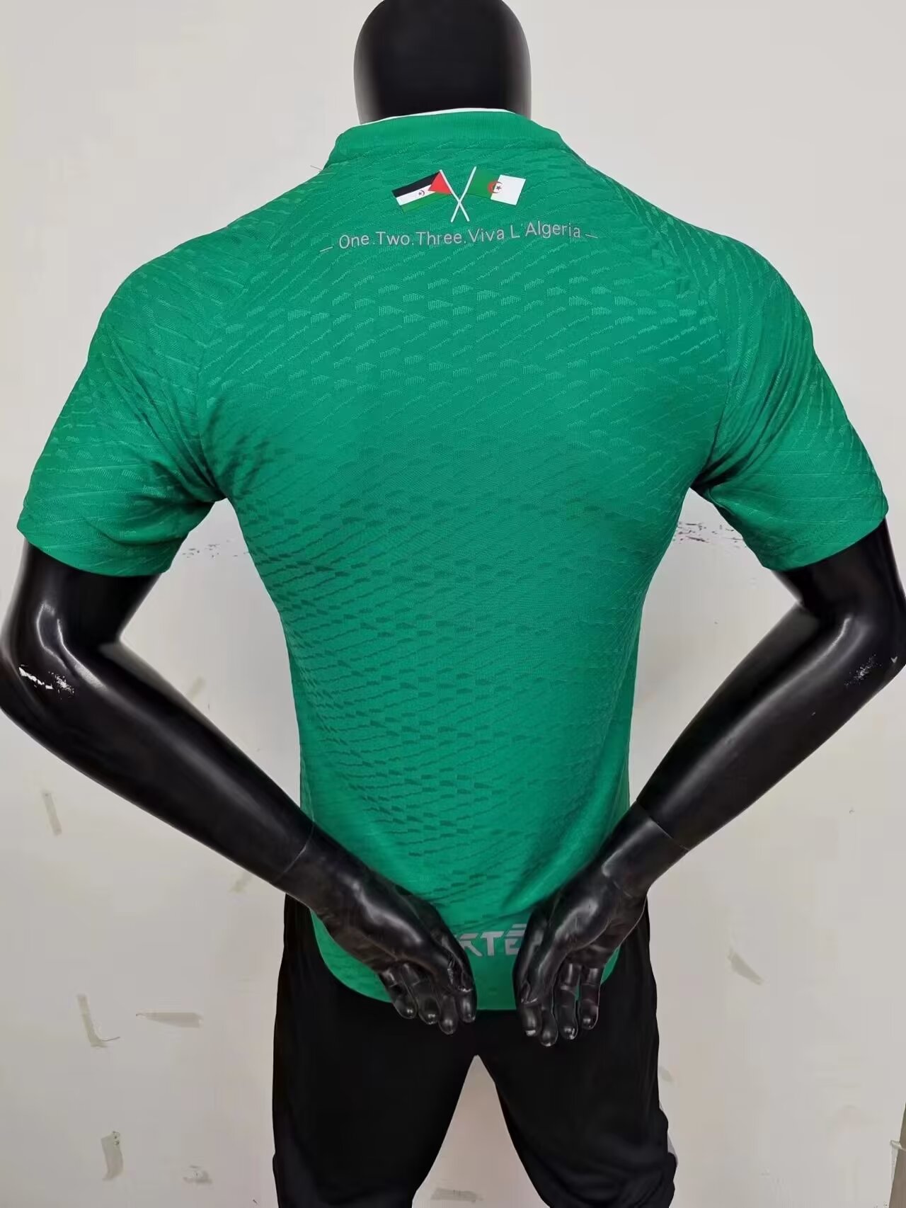Algeria Green Jersey Player Version Thai Quality - leoleo123123