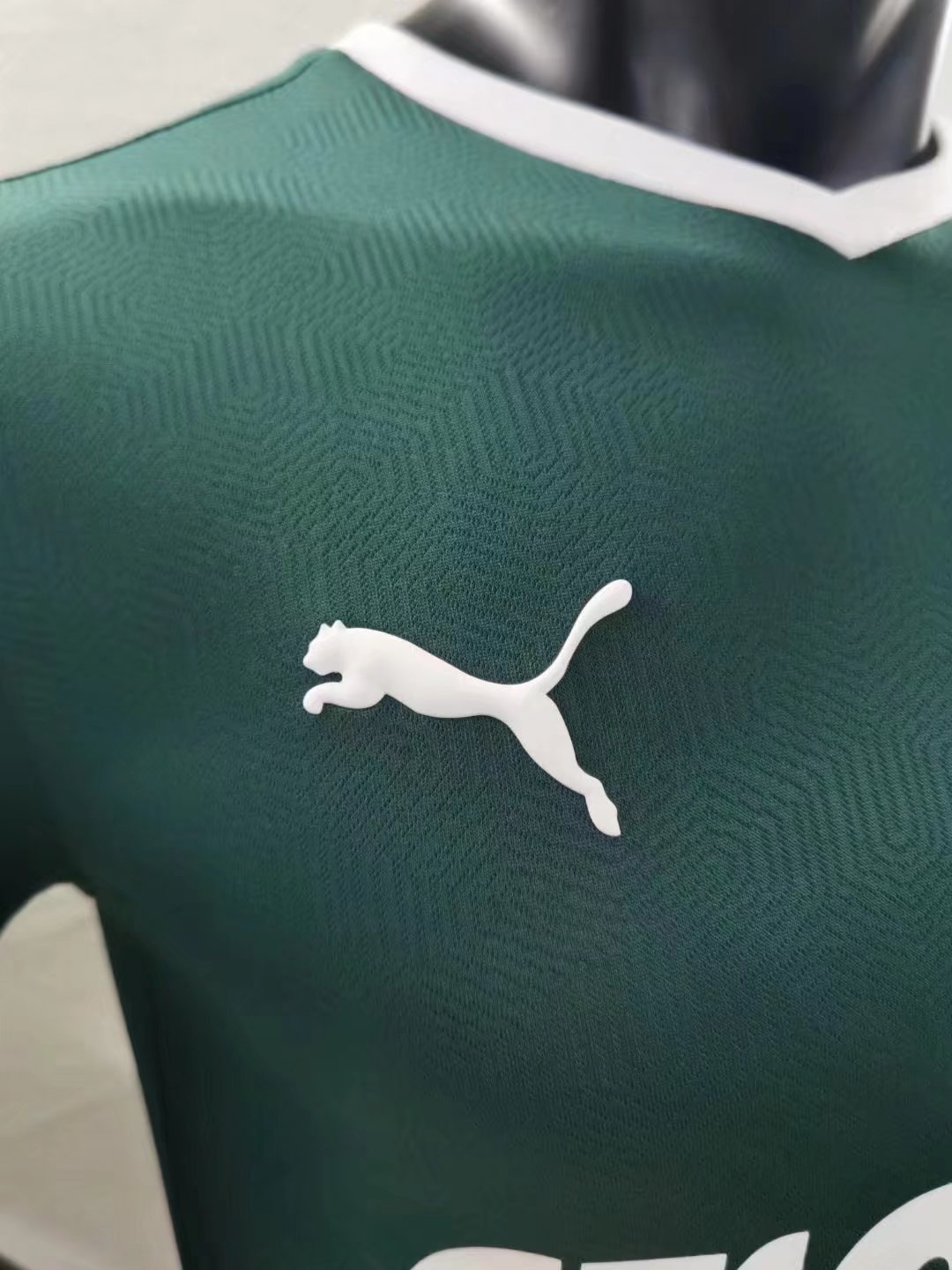 2023 Palmeiras Home Jersey Player Version 1:1 Quality Thai Quality - leoleo123123