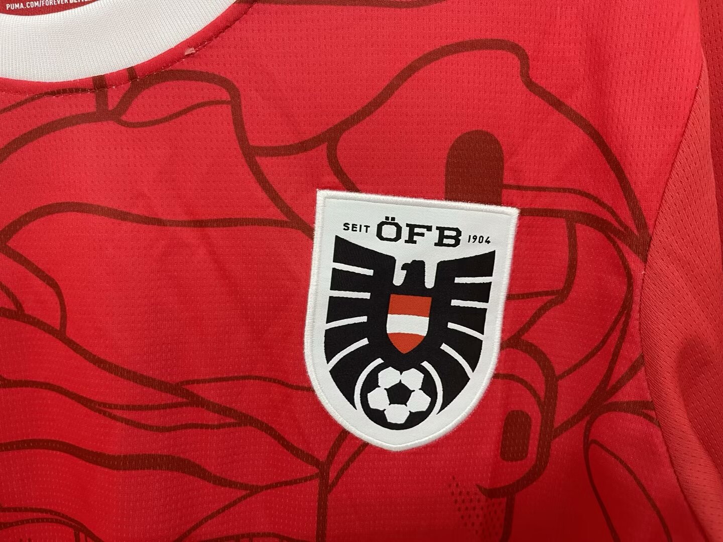 24/25 Austria Home Soccer Jersey Fans Version 1:1 Quality - leoleo123123