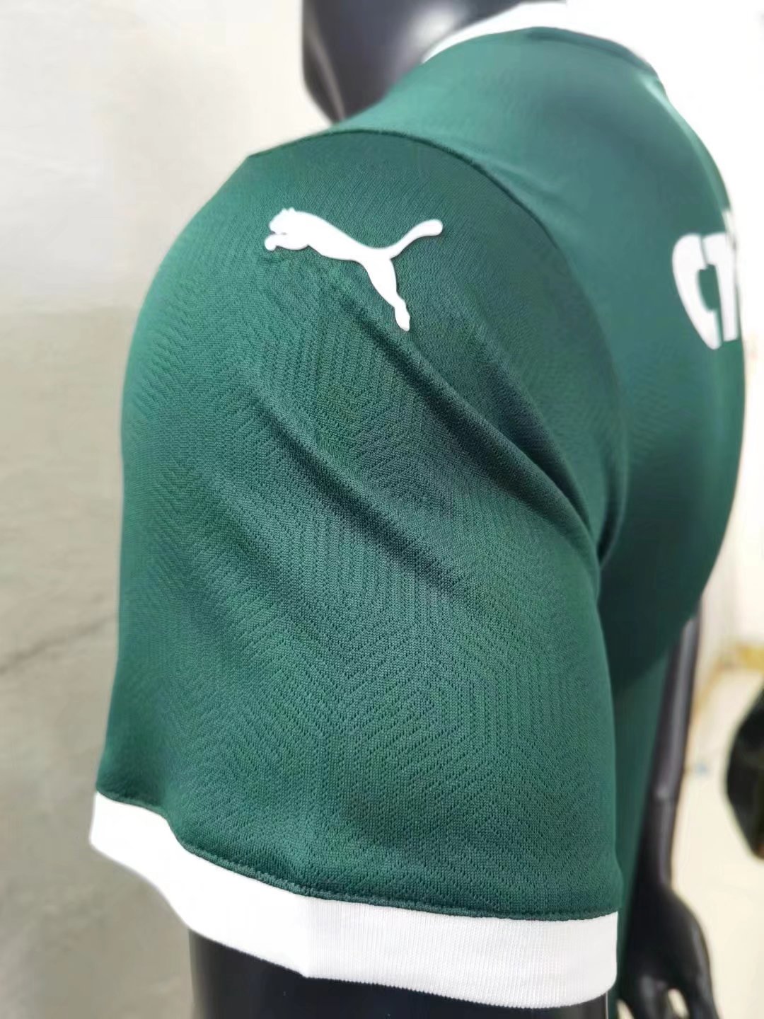 2023 Palmeiras Home Jersey Player Version 1:1 Quality Thai Quality - leoleo123123