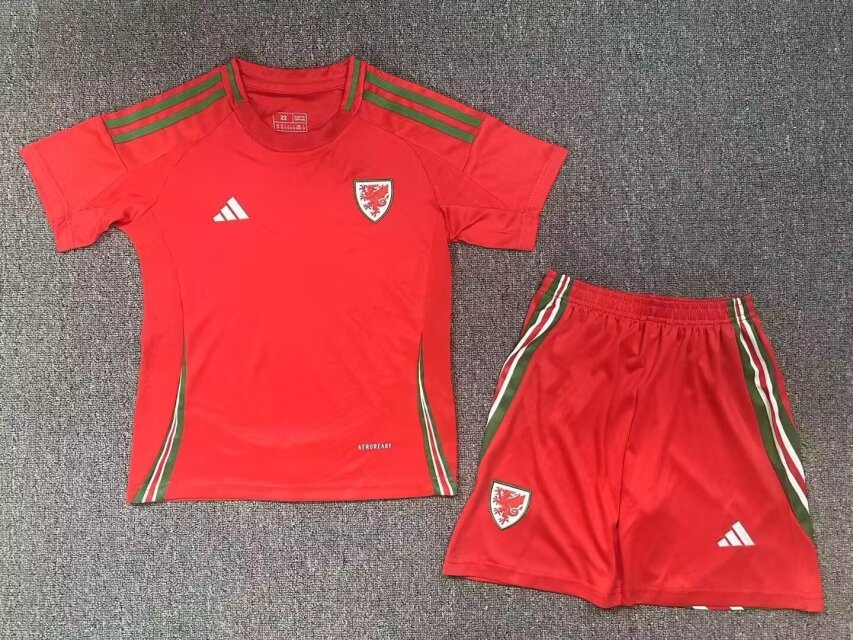 24/25 Welsh Home Kids Jersey - leoleo123123