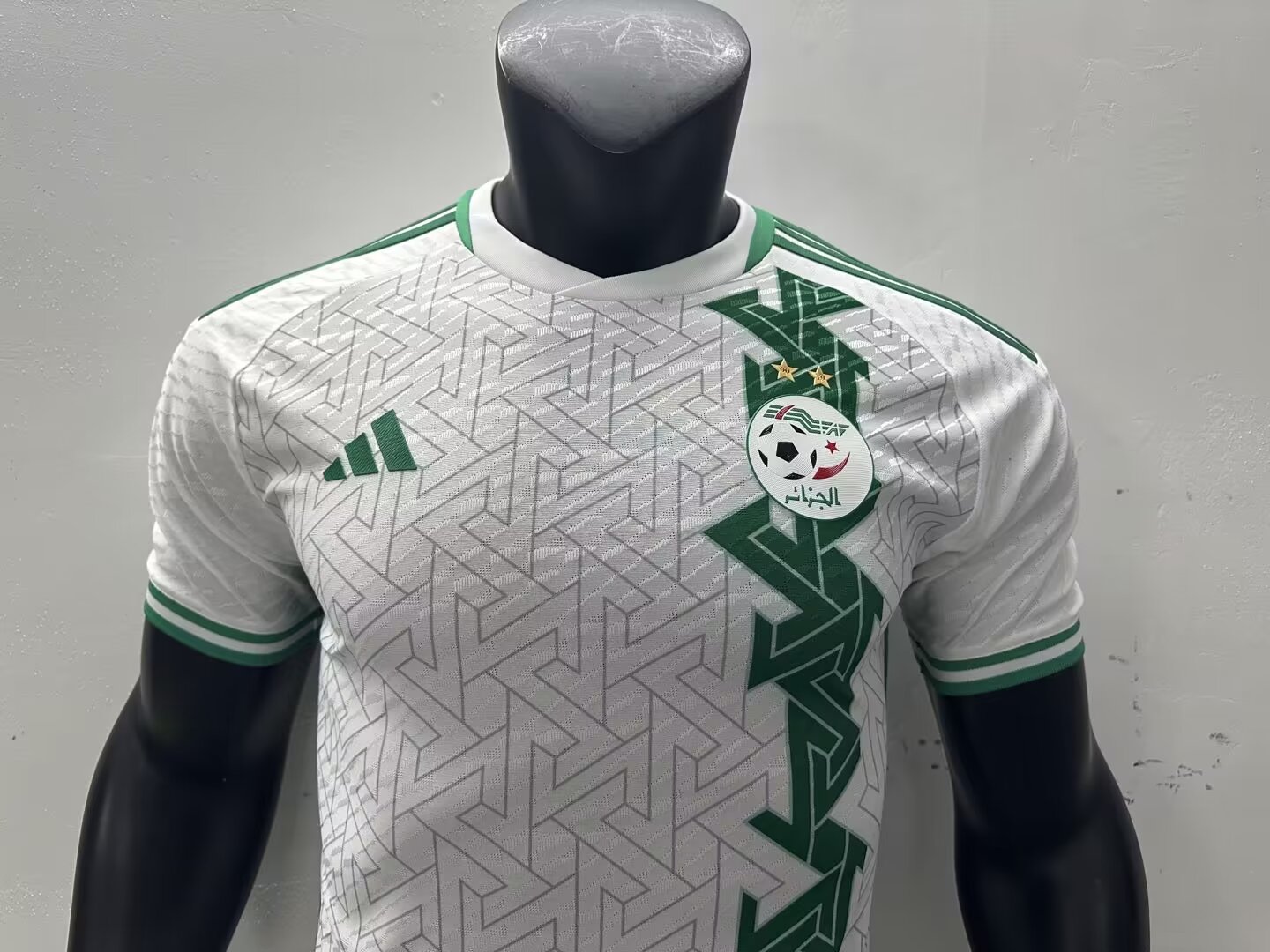 24/25 Algeria Home Jersey Player Version Thai Quality - leoleo123123