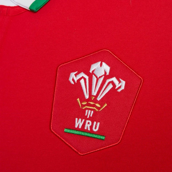 Rugby Season 2021 Wales National Red Rugby Polo High Quality - leoleo123123