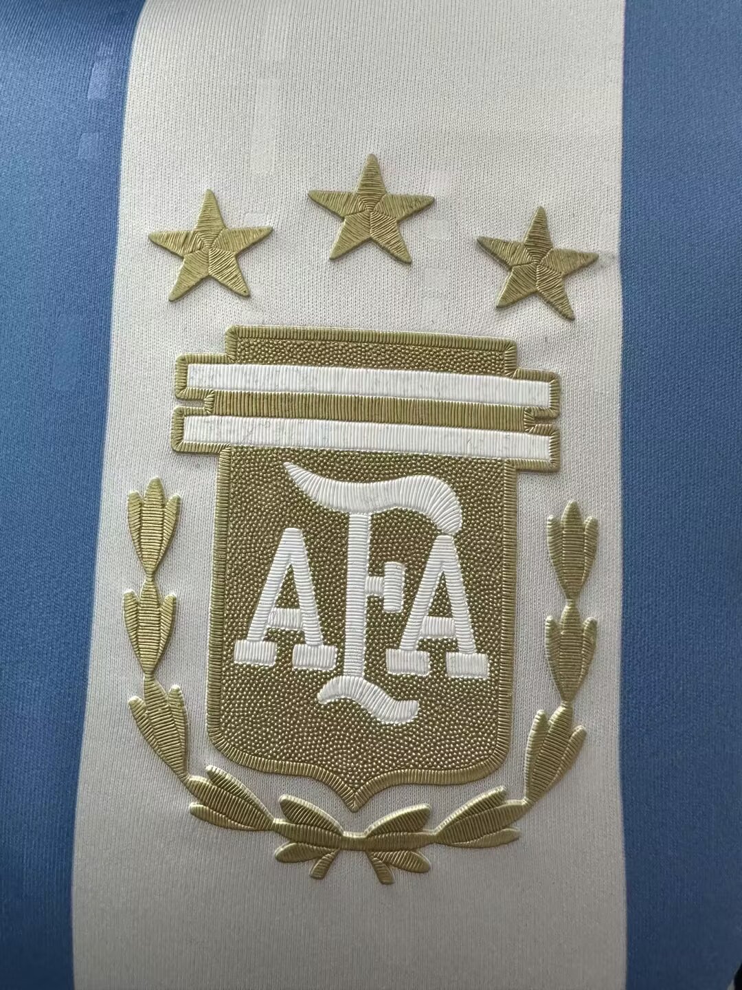 24/25 Argentina Home Jersey With 3 stars Player Version 1:1 Quaility - leoleo123123