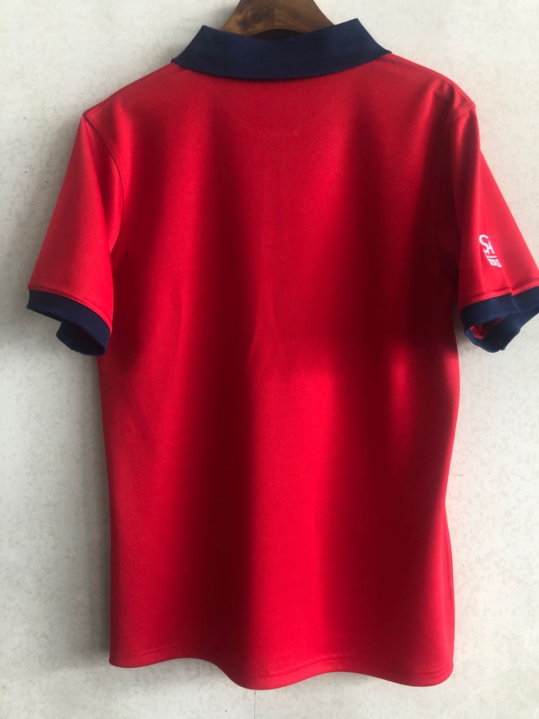 Rugby 2020-2021 Lions Red Rugby Traning Polo High Quality - leoleo123123