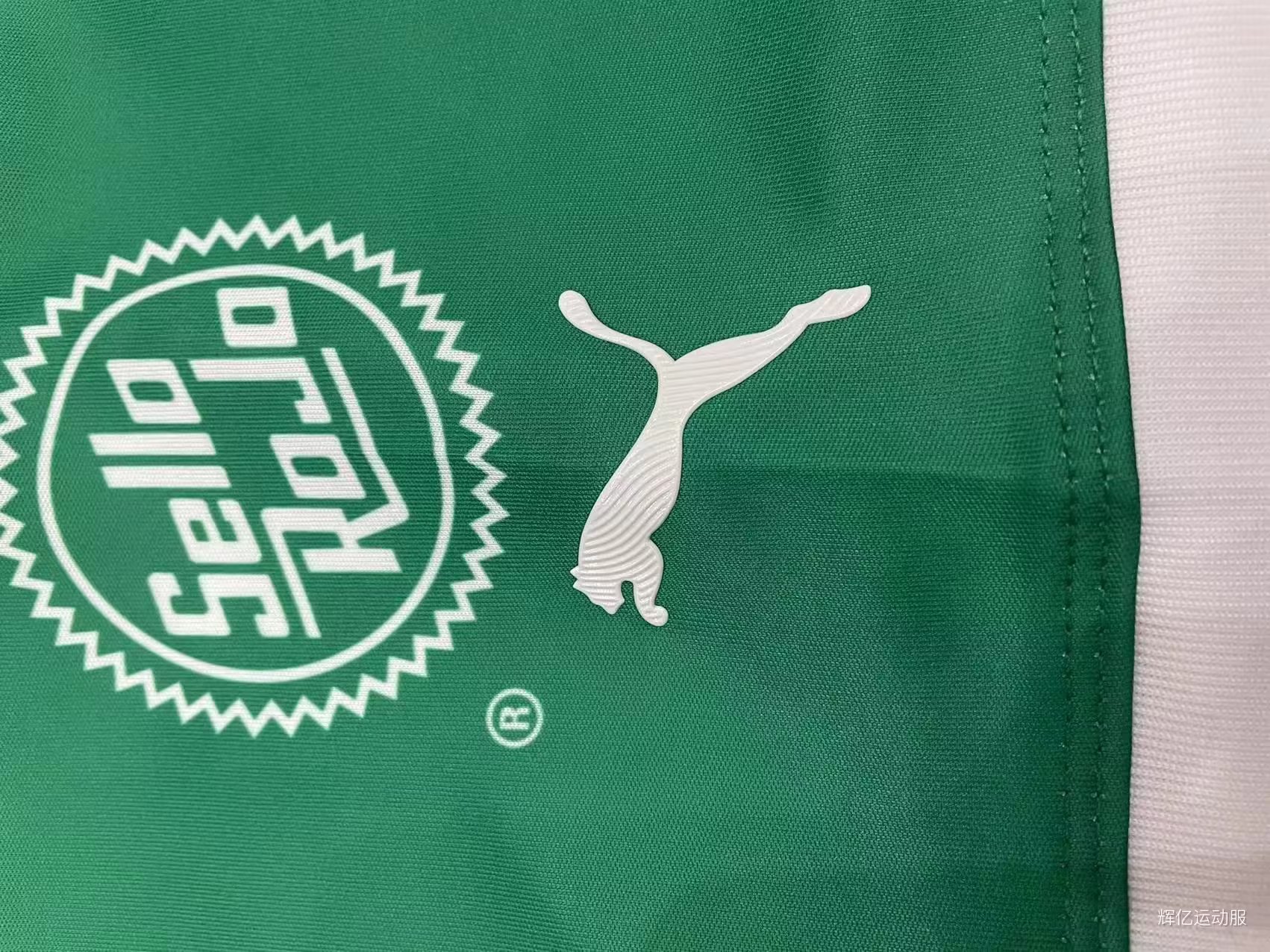 22/23 Chivas Green Jersey Thai Quality - leoleo123123