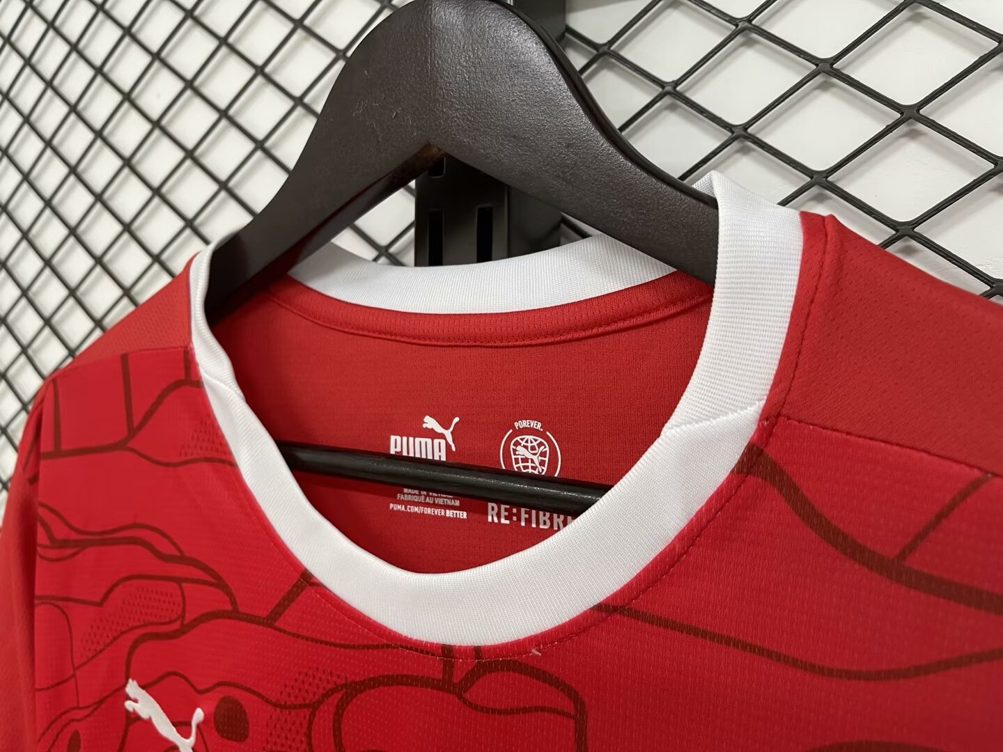 24/25 Austria Home Soccer Jersey Fans Version 1:1 Quality - leoleo123123