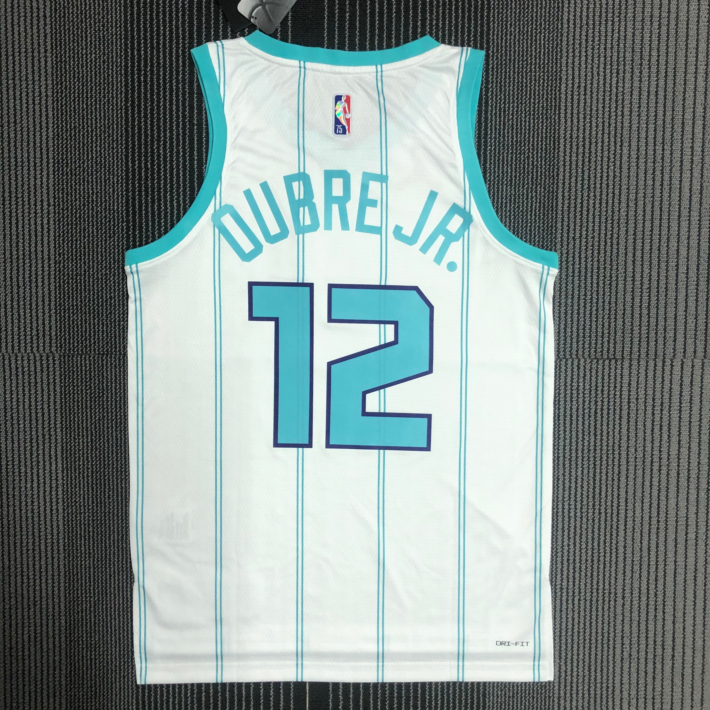 NBA Men 75th Anniversary New Season Charlotte Hornets #12 DUBRE JR. White Jersey High Quality Name and Number Print - leoleo123123